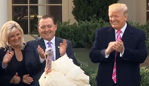 trump-pardons-thanksgiving-turkeys