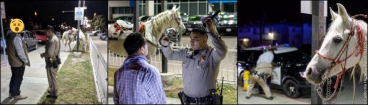 CHP: Drunken Man Arrested Riding Horse Down 91 Freeway In California ...