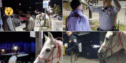 CHP: Drunken Man Arrested Riding Horse Down 91 Freeway In California ...