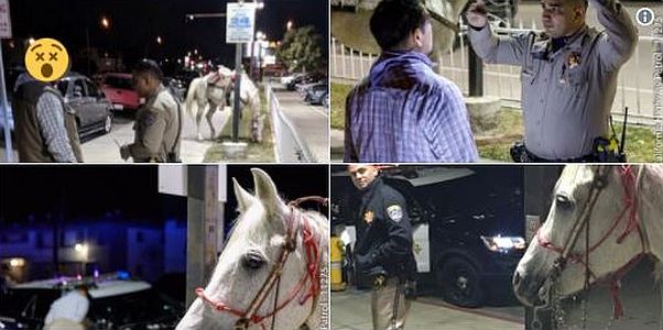 CHP: Drunken man arrested riding horse down 91 Freeway in California