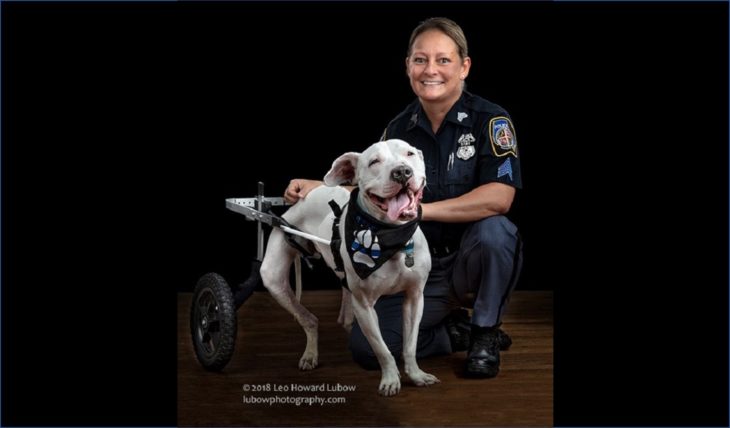 ‘Show Your Soft Side’ features police Sergeant DeFelice in 2019 calendar