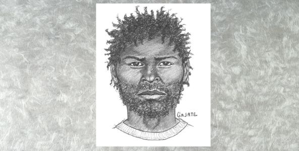 Police release sketch of knife-wielding carjacker