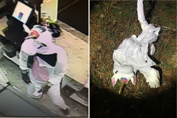 Police Arrest Robbery Suspect Who Wore Unicorn Costume