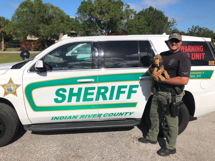 10-week-old ‘Willow’ joins Indian River County Sheriff's Office as newest K-9 team member