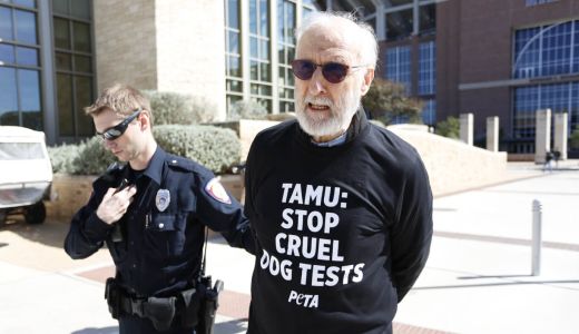 ‘Babe’ actor James Cromwell arrested at Texas A&M University protesting in support of animal rights