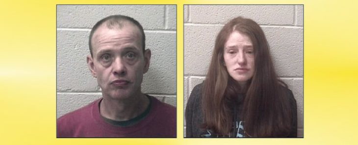 Felony animal cruelty: Dad and daughter charged with multiple counts after dead and malnourished dogs found on property