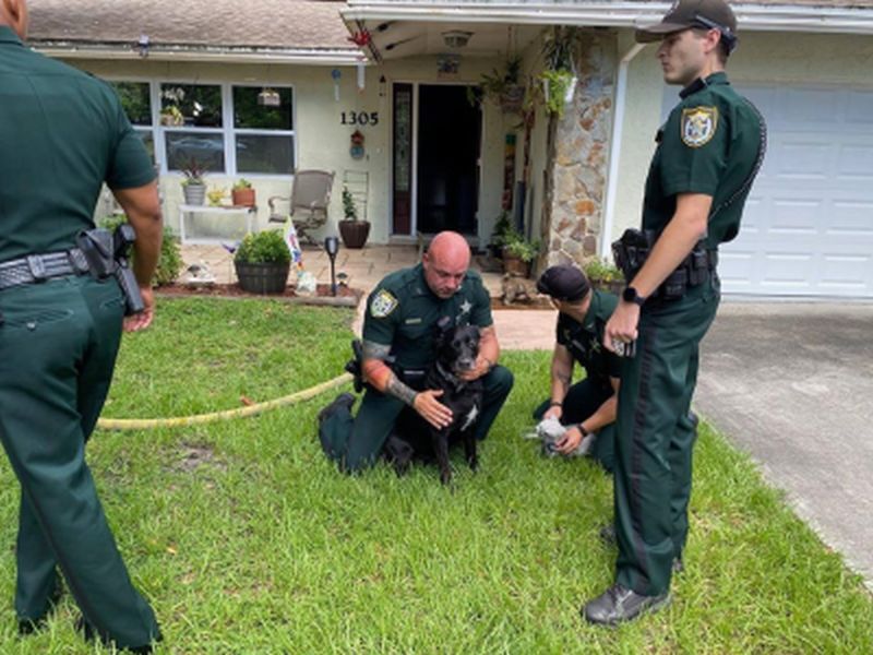 Ace News Today - House catches fire in Vero Beach with no-one inside but the five family pets