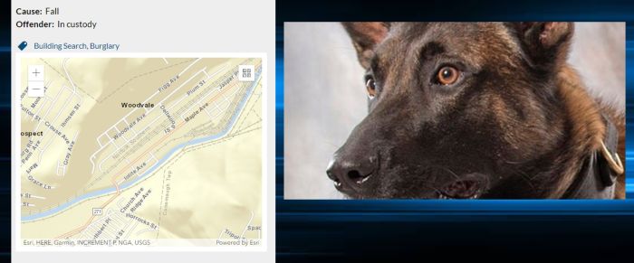 Ace News Today - End of Watch: Johnstown PD’s K9 Officer ‘Titan’ dies in the performance of his duties