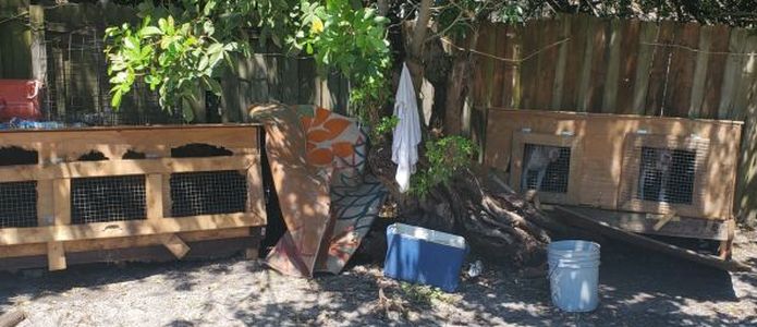 Vero Beach drug bust results in bonus rescue of six neglected animals