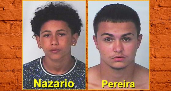 Ace News Today - Three Spring Hill teens, ages 13, 16 and 17, charged with two armed robberies 