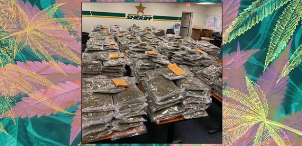 Florida cops offering to return 770 pounds of lost weed to its rightful owner