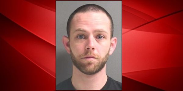 Florida man charged with possessing child porn and sexually abusing the family dog