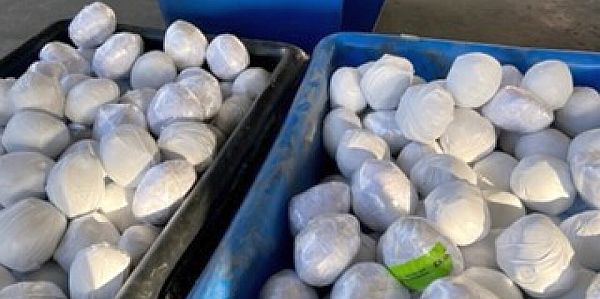 Border agents discover $3M worth of meth hidden in onion shipment