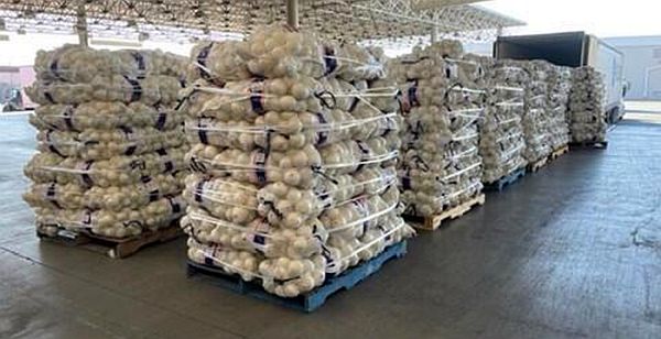 Ace News Today - Border agents discover $3M worth of meth hidden in onion shipment