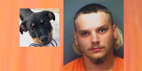 Florida man charged with animal cruelty after beating puppy at Clearwater Beach