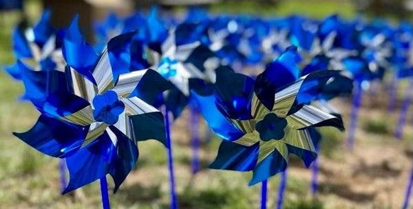 Why are blue pinwheel gardens suddenly sprouting up in Bel Air?