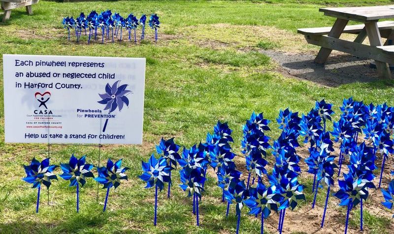 Ace News Today - Why are blue pinwheel gardens suddenly sprouting up in Bel Air?
