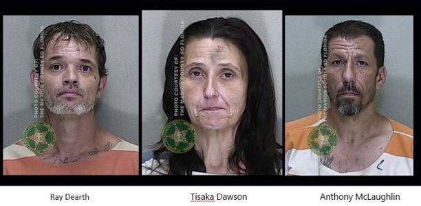 Trio of prolific mail thieves busted in Marion County, charged with fraud, more