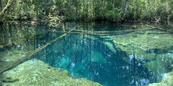 Two scuba divers drown in ‘mazelike cave system’ at Weekie Wachee wildlife park