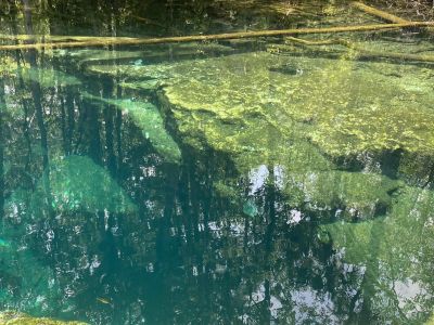 Ace News Today - Two scuba divers drown in ‘mazelike cave system’ at Weekie Wachee wildlife park 