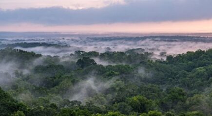 NASA-ISRO Radar Mission to study how ecosystems are changing around the world