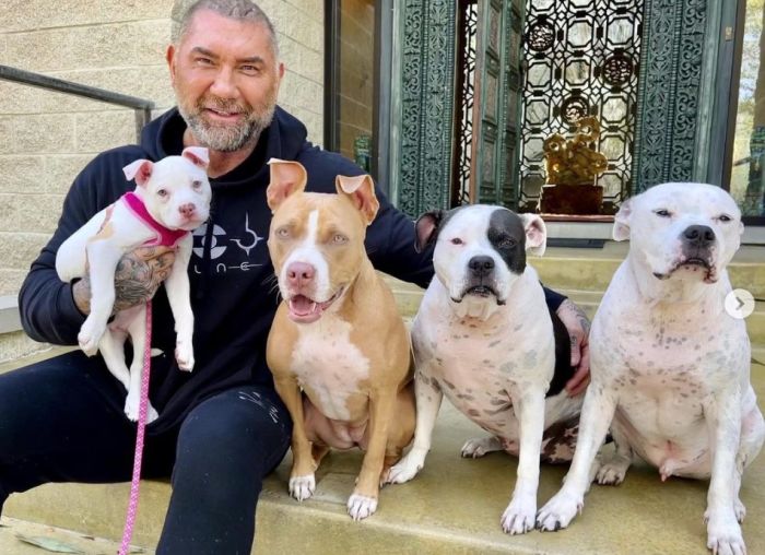 Ace News Today - Animal lover / actor Dave Bautista joins the ASPCA to help raise awareness for rescue animals in need