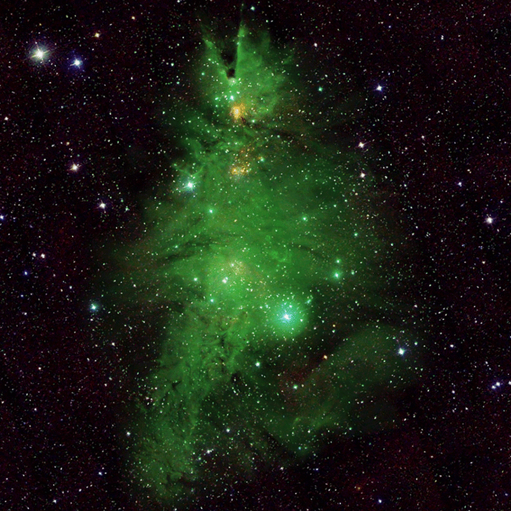 Ace News Today - NASA's Christmas Tree Star Cluster NGC 2264