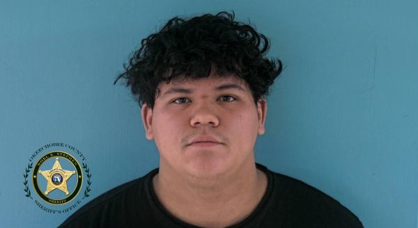 Okeechobee teen charged with child porn and extorting local girls for sex