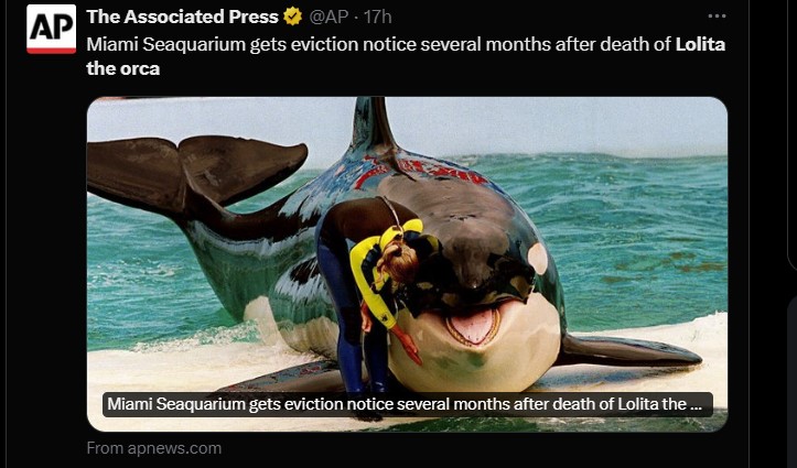 Ace News Today - After almost 70 years at the same location, the Miami Seaquarium gets eviction notice