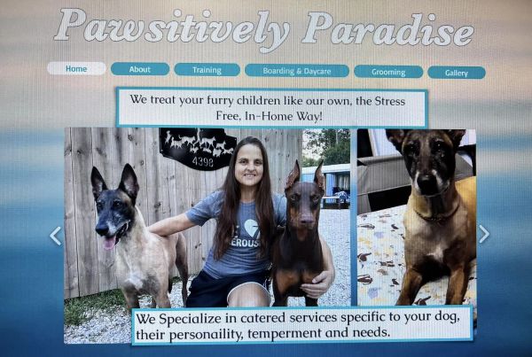 Owner of once-popular dog training facility arrested after animals in her care were mysteriously dying