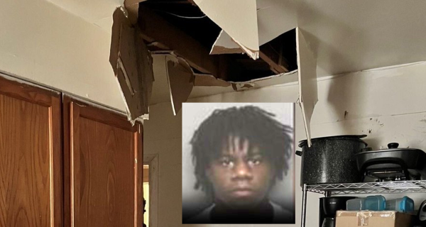 Captured: Memphis murder suspect hiding in attic falls through ceiling into waiting arms of US Marshalls