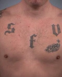 Ace News Today - 68 defendants associated with California White Supremacist gang ‘SFV Peckerwoods’ arrested and charged