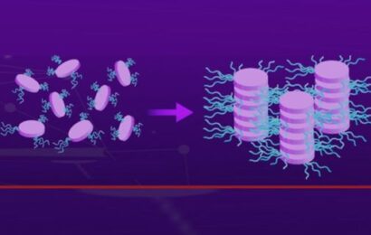 Ion-Pairing: A New Approach to Lyotropic Chromonic Liquid Crystal Assembly