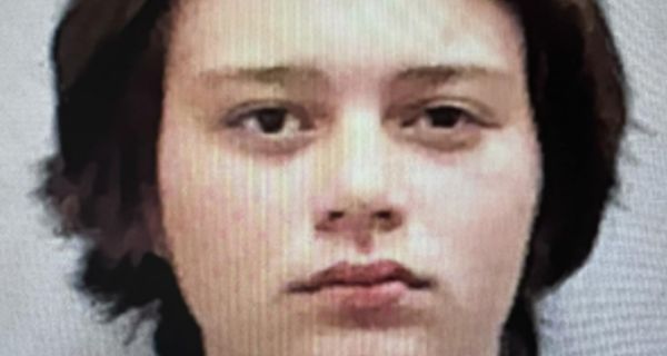 Florida teen charged with felony animal cruelty after stabbing dog to death