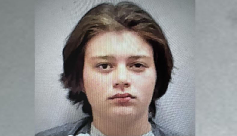 Ace News Today - Florida teen charged with felony animal cruelty after stabbing dog to death