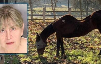 California woman arrested after 27 horses found dead on her properties