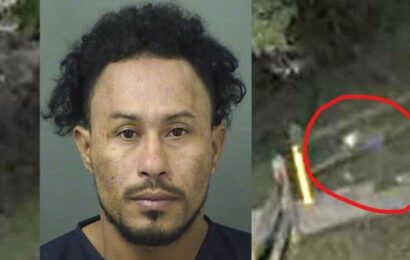 Undocumented immigrant charged with rape of 13-year-old girl in Palm Beach County park