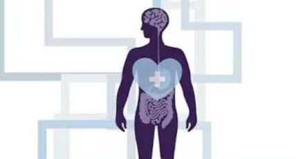 The connection between stress and gut health, and how to keep calm when stressed out