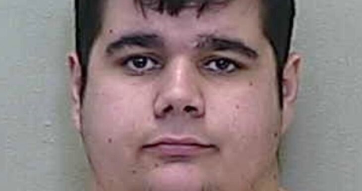 Florida man, 18, charged with multiple counts of child porn possession and materials depicting sexual activity with animals