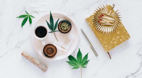 New research reveals the Top 10 U.S. States for Legal Cannabis Cultivation