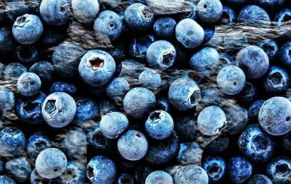 Publix recalls blueberries after E. coli outbreak sickens 12, hospitalizes 4