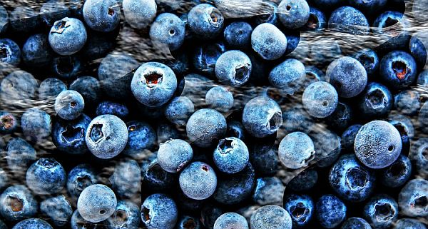 Publix recalls blueberries after E. coli outbreak sickens 12, hospitalizes 4