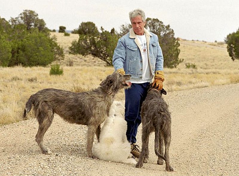 Ace News Today: New Mexico sues DOJ, saying secrecy over Epstein Files blocks Zorro Ranch criminal investigation, Image credit DOJ