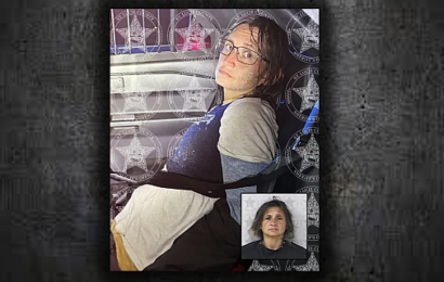Fort Lauderdale woman arrested after stealing Broward County Sheriff’s patrol car